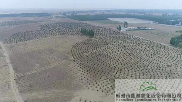 电竞比赛押注app