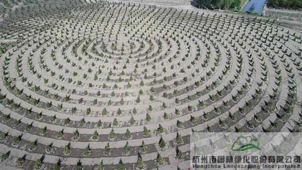 电竞比赛押注app