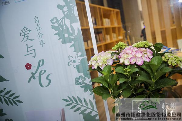 电竞比赛押注app