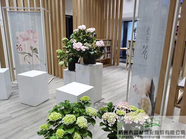 电竞比赛押注app