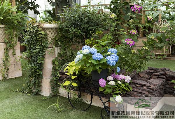 电竞比赛押注app