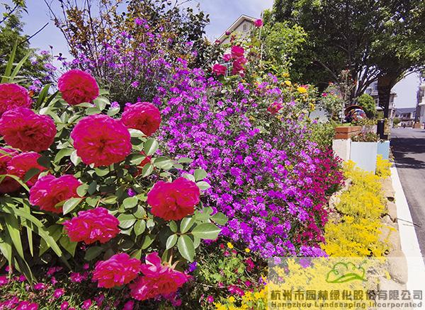 电竞比赛押注app