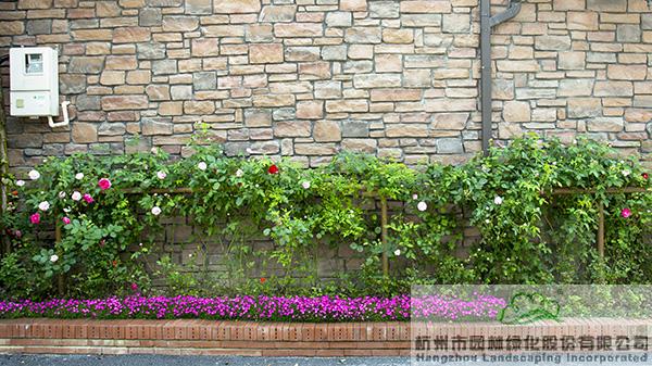 电竞比赛押注app