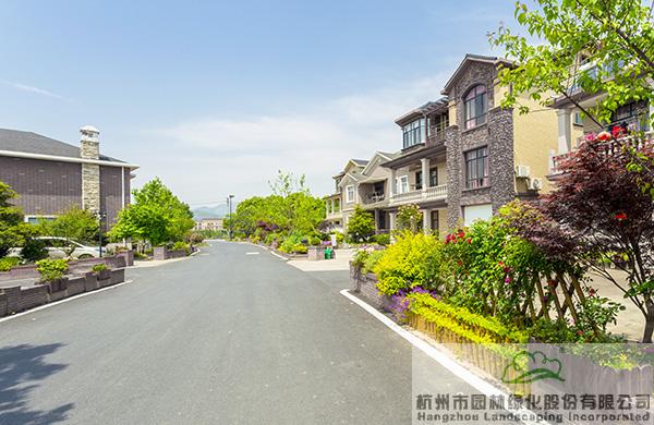 电竞比赛押注app