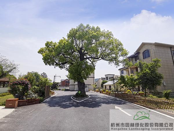 电竞比赛押注app