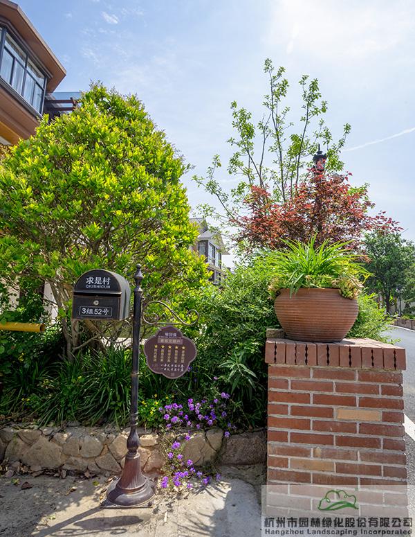 电竞比赛押注app