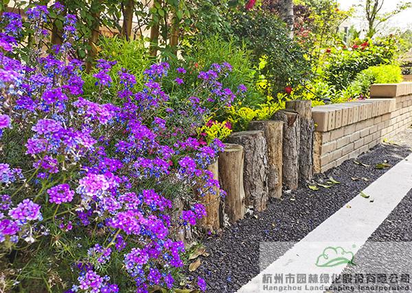 电竞比赛押注app