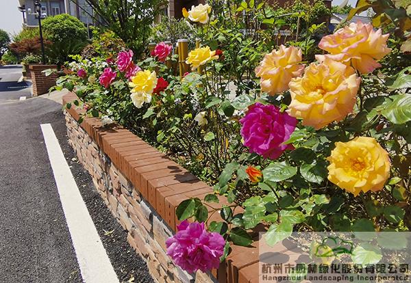 电竞比赛押注app