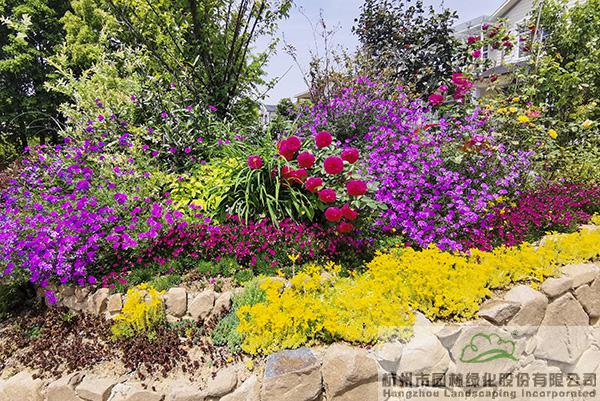 电竞比赛押注app