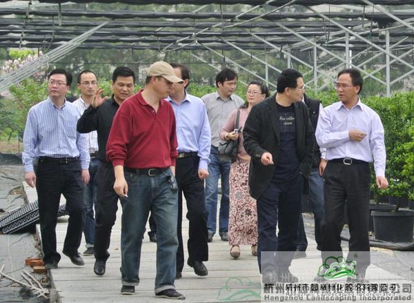 电竞比赛押注app