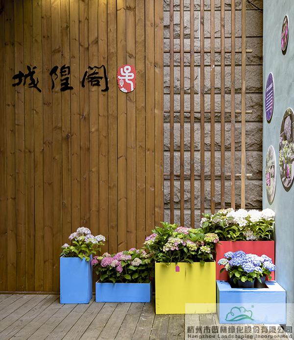 电竞比赛押注app