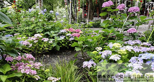 电竞比赛押注app