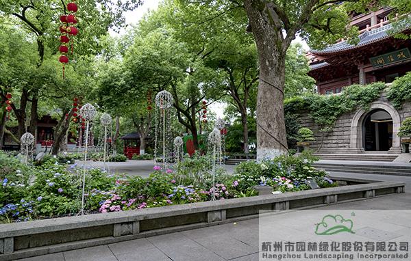 电竞比赛押注app