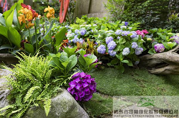 电竞比赛押注app