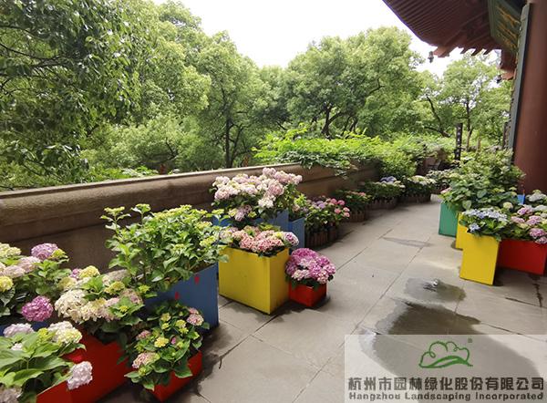 电竞比赛押注app