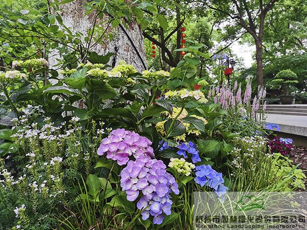 电竞比赛押注app