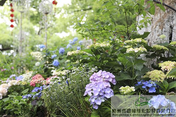 电竞比赛押注app