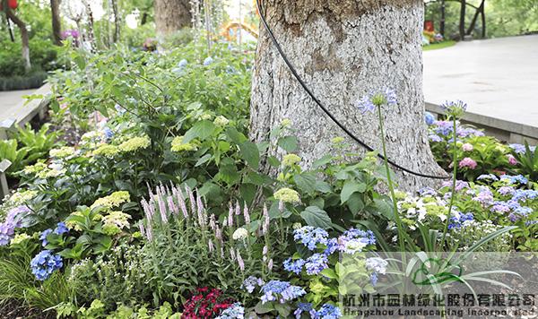 电竞比赛押注app