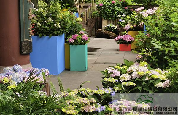 电竞比赛押注app