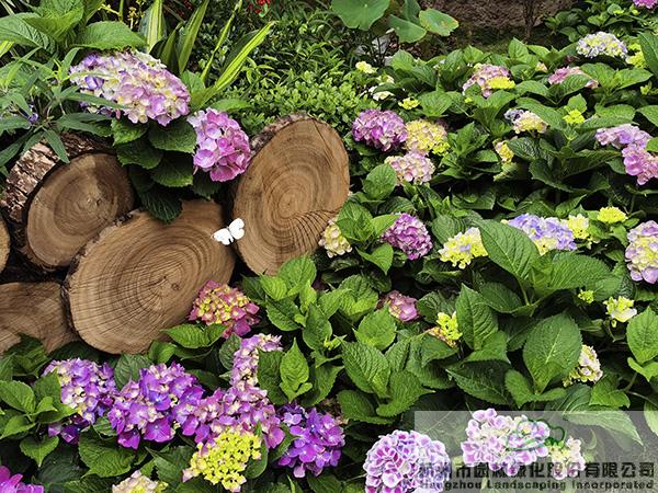 电竞比赛押注app