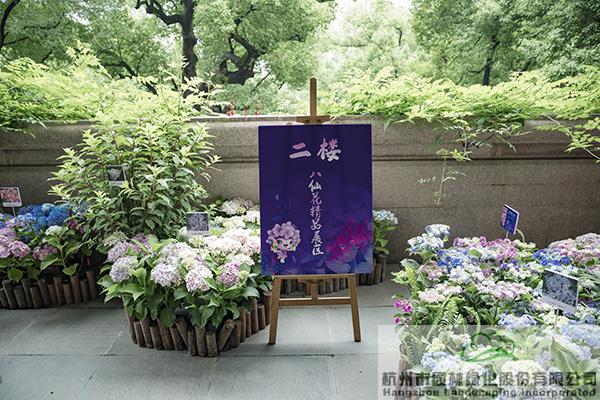 电竞比赛押注app