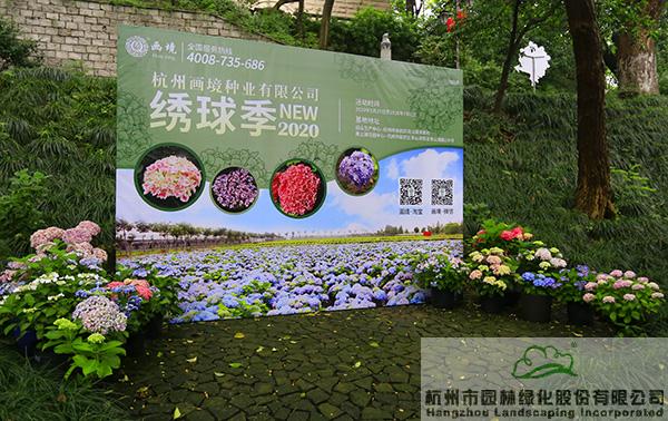 电竞比赛押注app