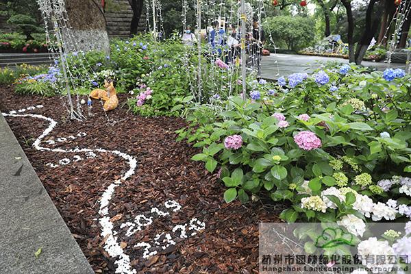 电竞比赛押注app