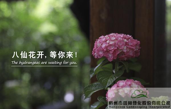 电竞比赛押注app