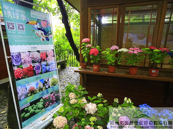 电竞比赛押注app