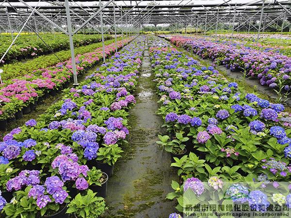 电竞比赛押注app