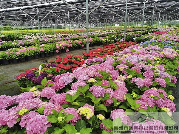 电竞比赛押注app