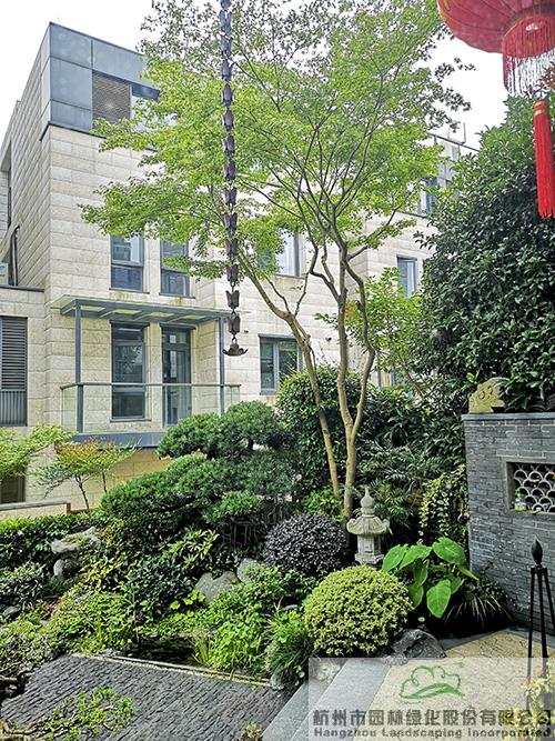 电竞比赛押注app