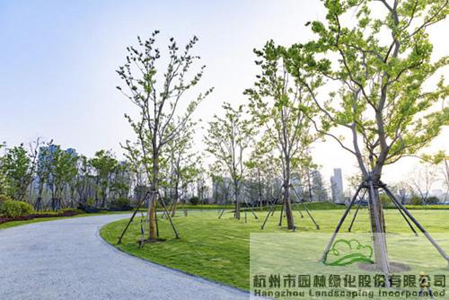 电竞比赛押注app