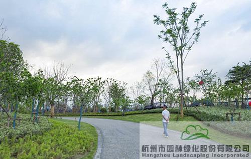 电竞比赛押注app