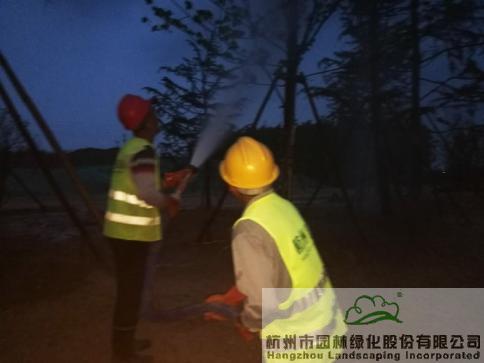 电竞比赛押注app