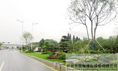 电竞比赛押注app