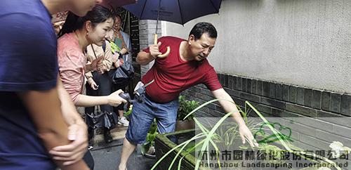 电竞比赛押注app