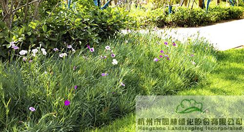 电竞比赛押注app