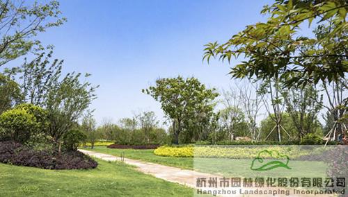 电竞比赛押注app