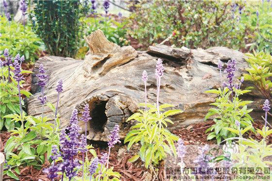 电竞比赛押注app