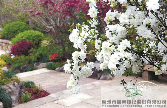 电竞比赛押注app