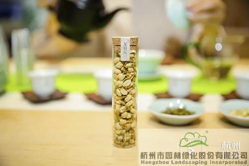 电竞比赛押注app