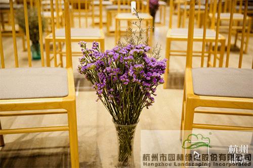 电竞比赛押注app