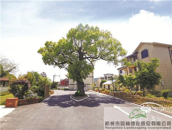 电竞比赛押注app