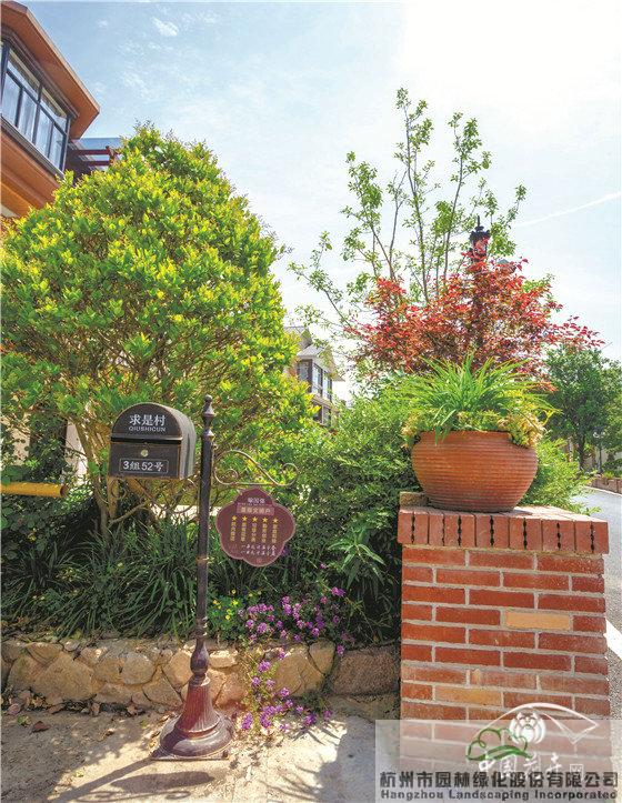 电竞比赛押注app