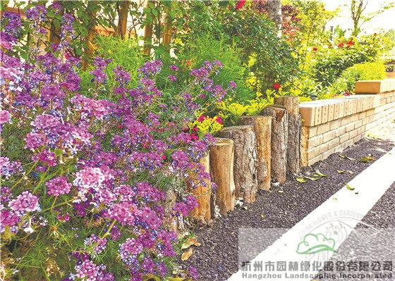 电竞比赛押注app