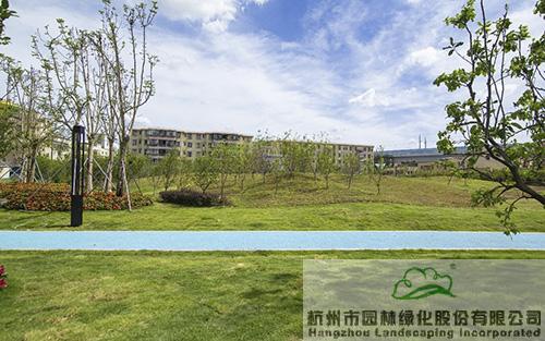 电竞比赛押注app