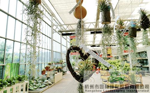 电竞比赛押注app