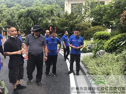 电竞比赛押注app