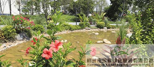 电竞比赛押注app